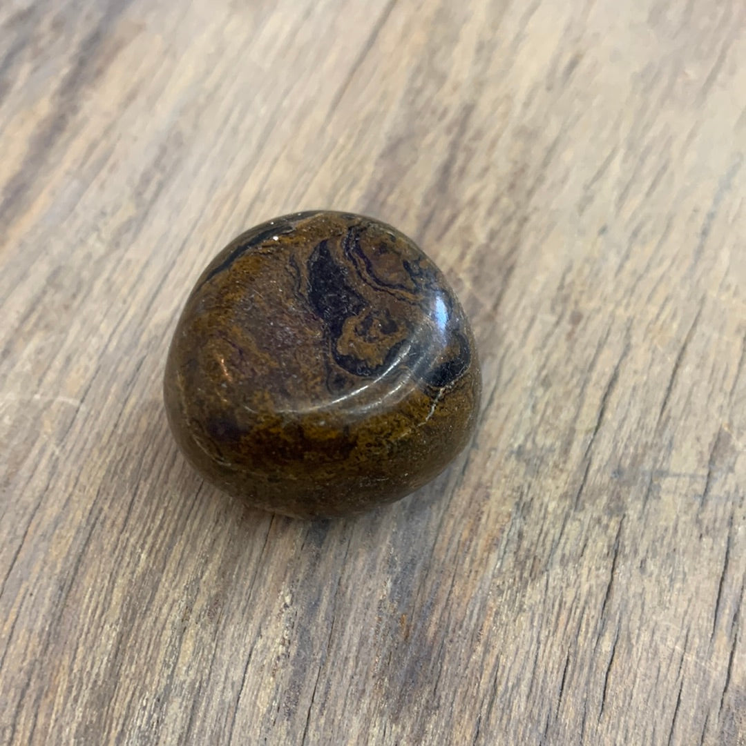 Stromatolite