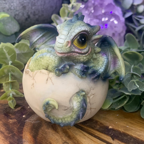 Poly resin hatchling dragon figurine peeking