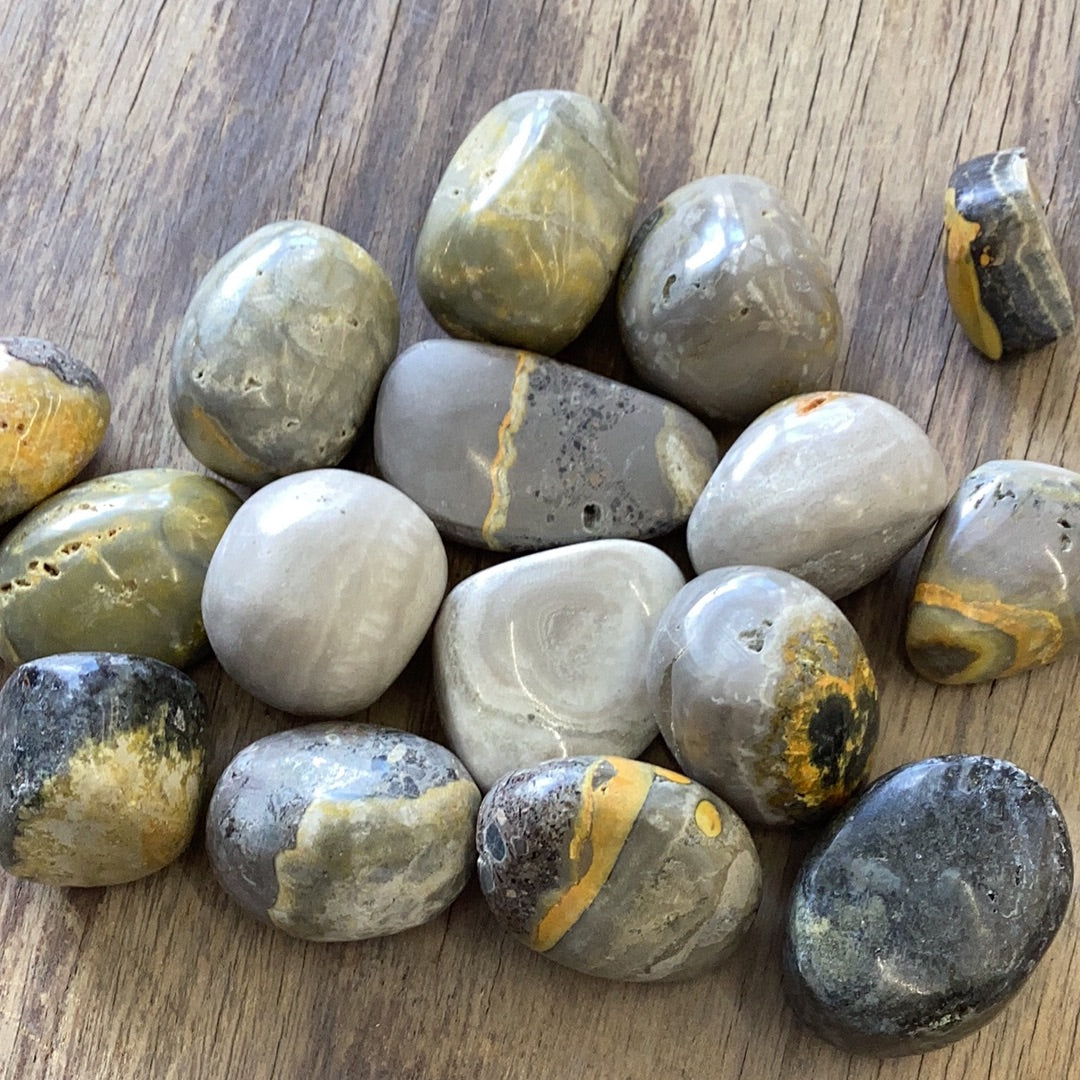 Jasper, Bumblebee Jasper